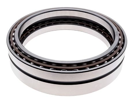 Excavator bearing